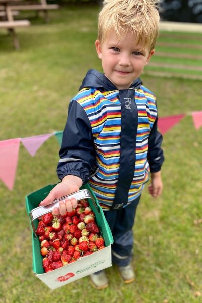 strawberries-boy-picking-rain