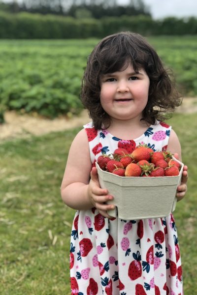 strawberry-picking-children